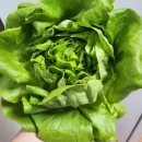 미도양품 이미지