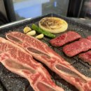 바이소