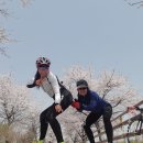 양평벚꽃하우스 이미지