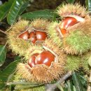 동계면사무소 이미지