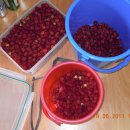 처가집통닭 이미지