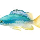 시골식당 이미지