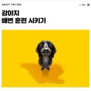 개님살롱레이크사이드 이미지