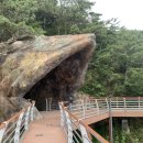 대항항관광체험장 이미지