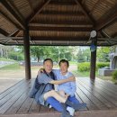 2025-7-16 내란에 버금가는 마약사건의 전모 이미지