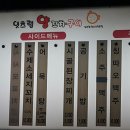 신리양꼬치 네이버블로그