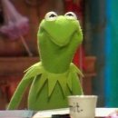 대학로155번길 | 대전 궁동 혼술바 혼자방문후기 혼술바잔소리봉명점