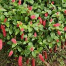 경기둘레길 양평27코스 이미지