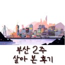 부산촌놈 | 강원도 촌놈의 부산 정착기 : 2주 살아 본 후기