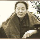 한귀목장 이미지