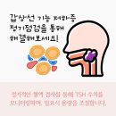 티록스 | 갑상선 기능 저하증 후기와 관리 방법