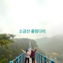한본미디어서울사업부 | 강원도원주 소금산 우중여행 스릴만점 출렁다리 뷰맛집