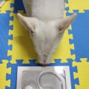 우주부라이프 이미지