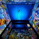 올라호텔 이미지