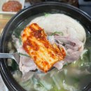 산아래 가마솥 삼계탕 | [경기 의왕 맛집] 산아래 가마솥 삼계탕 새싹삼과 닭갈비를 서비스로! 누룽지 삼계탕으로 몸보신하기...