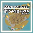 양곡리맛집_양곡구래점 OPEN!_코리엔탈 깻잎두마리치킨!!