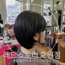 회룡역 미용실 레드스토리 호원점 후기, 숏컷 볼륨매직 받고 사자머리 탈출