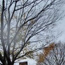 동산리 낚시터 이미지