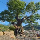 오동마을 이미지