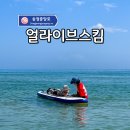 부산 송정해수욕장 유아 서핑 체험 얼라이브스킴 방문 후기!