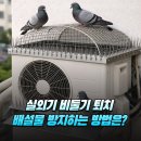 비둘기미용실 이미지