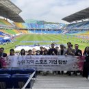 파이빅스주 이미지