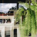 파인애플세탁소 이미지