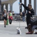 도도한강아지 이미지