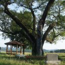 가곡보건진료소 이미지