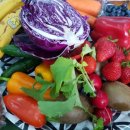 색채심리상담사 2급 이미지