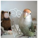 봉봉이 놀이터 이미지