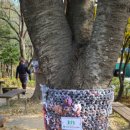 성덕동-9 이미지