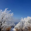 2월 테마 무등산 심설산행 2월9(일) 이미지