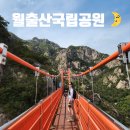 어바우코다리찜 | 등산코스(바람폭포~천황봉~구름다리) / 국립공원 스탬프투어, 블랙야크 100대명산, 맛집 어바우코다리찜