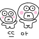 장미이발