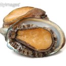 해남동물나라 이미지