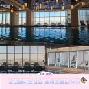 삼일탕사우나헬스 | 조선팰리스강남 수영장 헬스 사우나 이용후기(수영장이용꿀팁)