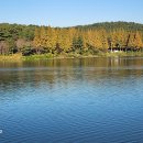 은파호수공원 이미지