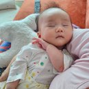 대자연정수기 이미지