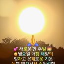 파라다이스짐필라&요가