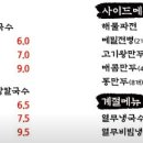 청학동칼국수 이미지