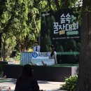 2026 유한킴벌리 숲속꿀잠대회 참가 후기 @서울숲