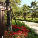 향토사랑