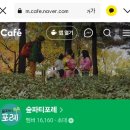 "주말 아이랑 할로윈 숲체험 | 숲파티포레 ‘마녀의 숲’ 후기 (예약·준비물 총정리)"
