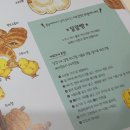 빵에 빠지다 | 와글와글 숲속의 음식 가게 놀이북 솔직 후기 | 21개월 아기, 동물과 빵에 푹 빠지다 🐻🥐