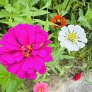 윤슬민박 이미지