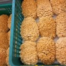 서니농장 이미지