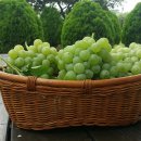 예은농장 이미지