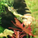 (주)코린화학 이미지