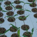 익산 농장 이미지